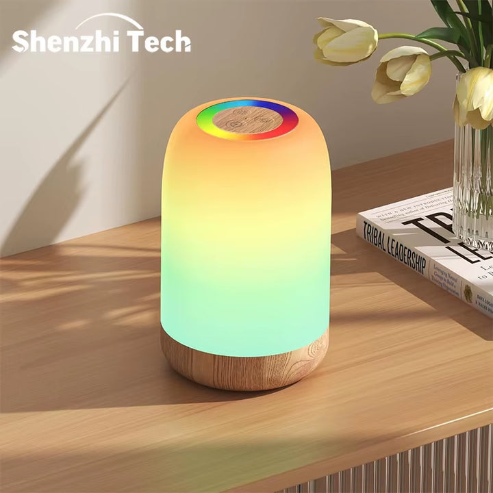 LED Touch Lamp with Dimmable RGB Colour,Wood Grain Table Lamp Timing Function,Usb Rechargeable Night Light,For Bedroom Kids Deco